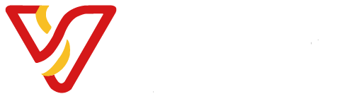 Logo valesafety